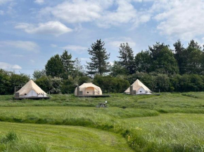 Walltree House Glamping - Cozy Glamping experience